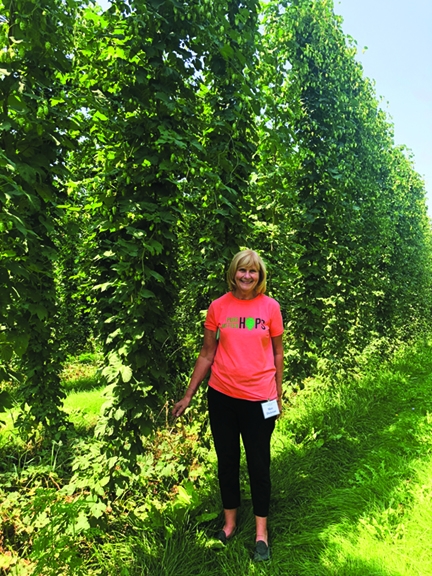 The Great Lupulin Harvest: A look behind the bines with Pure Mitten Hops