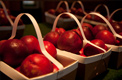 Apples