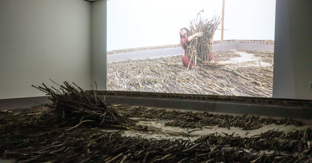 Artist Profiles: Hailey Johnson & Hammerspace Gallery