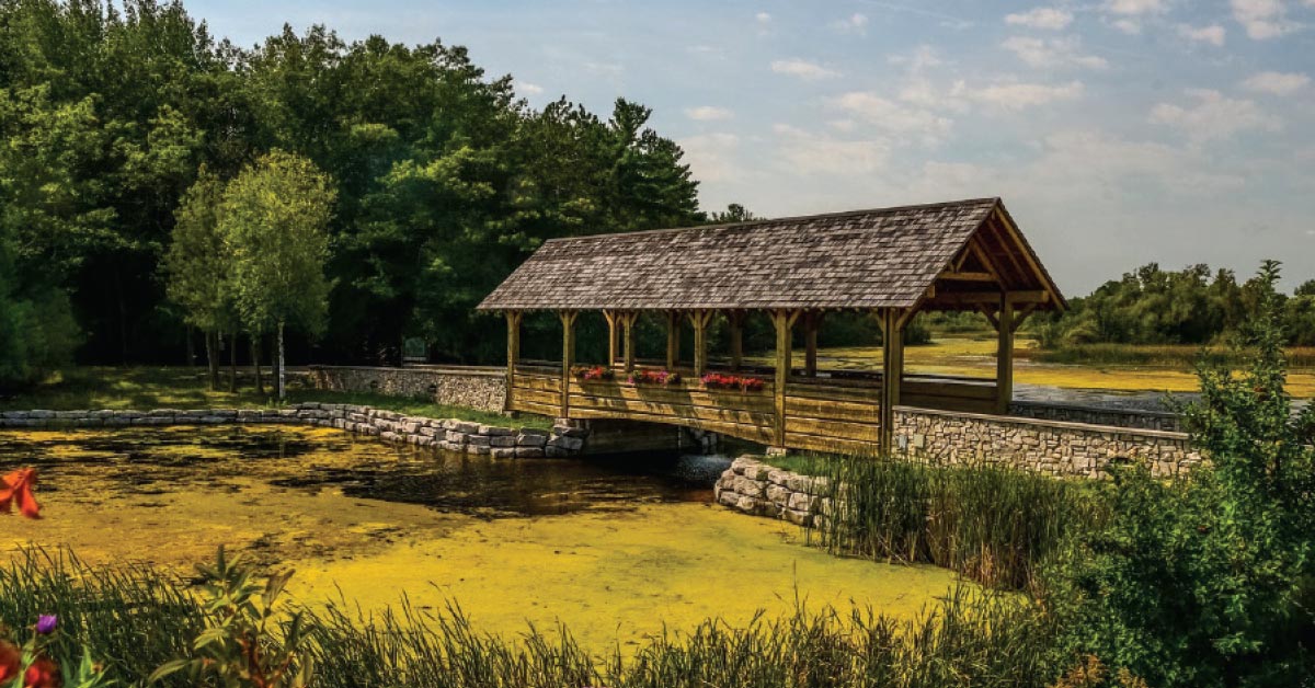 The Mitten Travel Guide