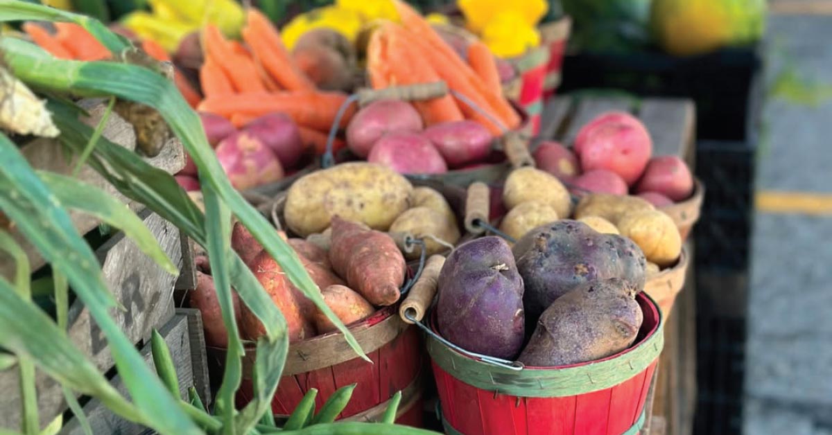Rooted In Community: Farmers Markets in West Michigan