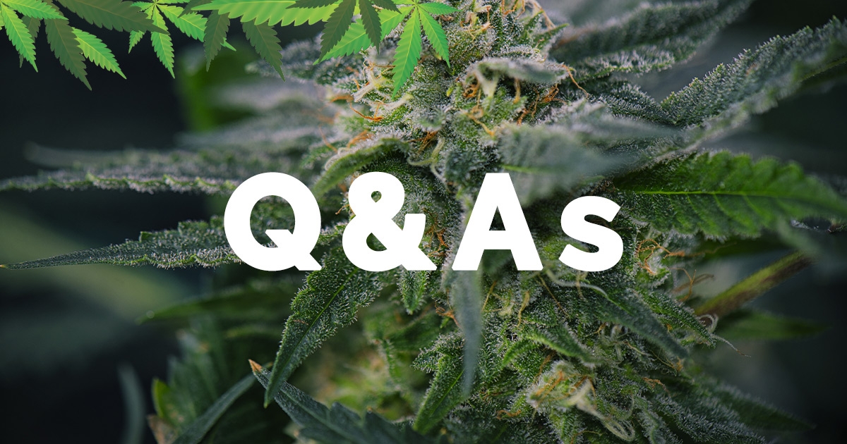 Cannabis Q&As