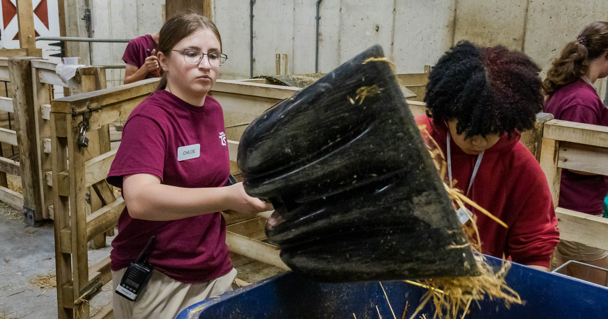 Get Out: Roll Up Your Sleeves and Get to Work